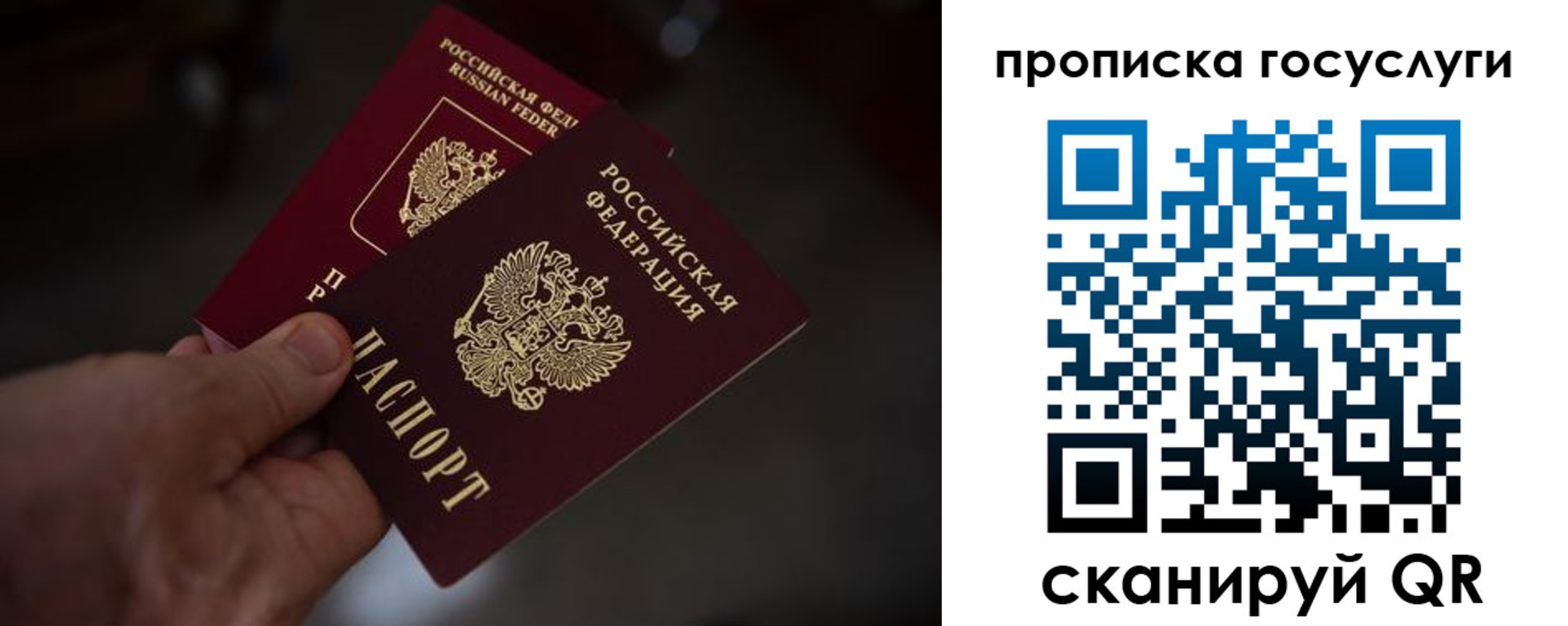 прописка ребенка в Кимовске